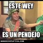 estiquer 