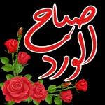 السلام عليكم