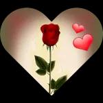  Lieben und geliebt werden