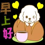 白貴賓犬表情包