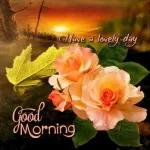 早安。
Fu
GOOD
MORNING