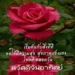 ดอกกุหลาบ🌹🌹