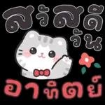 แมวมาร์คัส V.3 : HNY