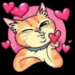 Just want to tell you I love you