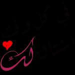 شوشو ٦٦