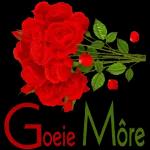 GOEIE MÔRE!