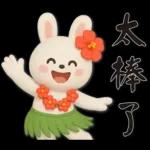 可愛白兔 夏日常實用問候