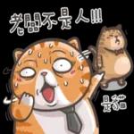 橘猫上班💼记 pack1