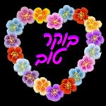 ברכות בקןר/ערב/ מום טוב