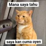 Meme