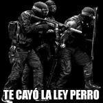 SCOTT TE CAYÓ LA LEY PERRO