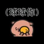 小水豚（諧音梗篇）