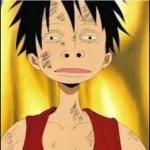 luffy 