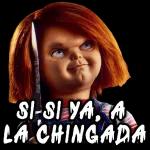 aqui bien pendientes