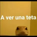 A ver una teta