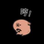 小水豚們的熱血應援