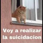 Los mejores