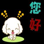 白貴賓犬表情包