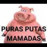 mis stickers 