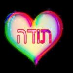 הורדה חינם, עדכונים יומיים, אין צורך בכניסה