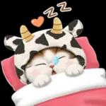 可爱小猫so cute😍