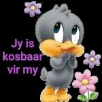 Jy is kosbaar vir my