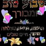 הורדה חינם, עדכונים יומיים, אין צורך בכניסה