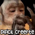 "SE AGUANTA LA RISA* 