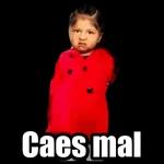 Caes mal