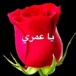 من الذي فاتك؟