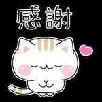 善解人意的小貓貓