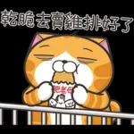 白爛貓45☆打工仔☆