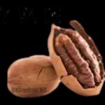 OTETQUIEROMUCHOViicke Fa