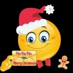 enjoy your Christmas!