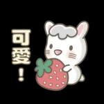 兔砸從月亮上帶下的祝福