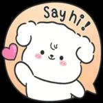 Chubby cute dog
