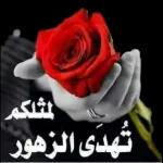 سنگی پایی سنگی پایی