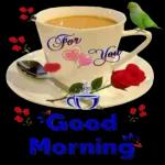 Good Morning