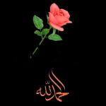 مضاد للشرمطة