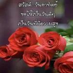 ดอกกุหลาบ🌹🌹