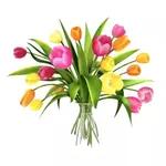 Blume💐💐💐