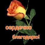 доброе утро, спокойной ночи