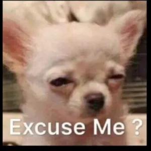 Excuse Me - getsticker.com