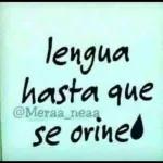 Quisiera volver al día en que nos conocimos, pa no ir