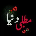 سچ کہا آپ نے
