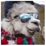 lluvias de bendiciones