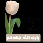 💋💋مساء الود