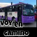 MI PAQUETE 50
