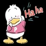 Pekkle Duck