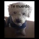 jorge 4